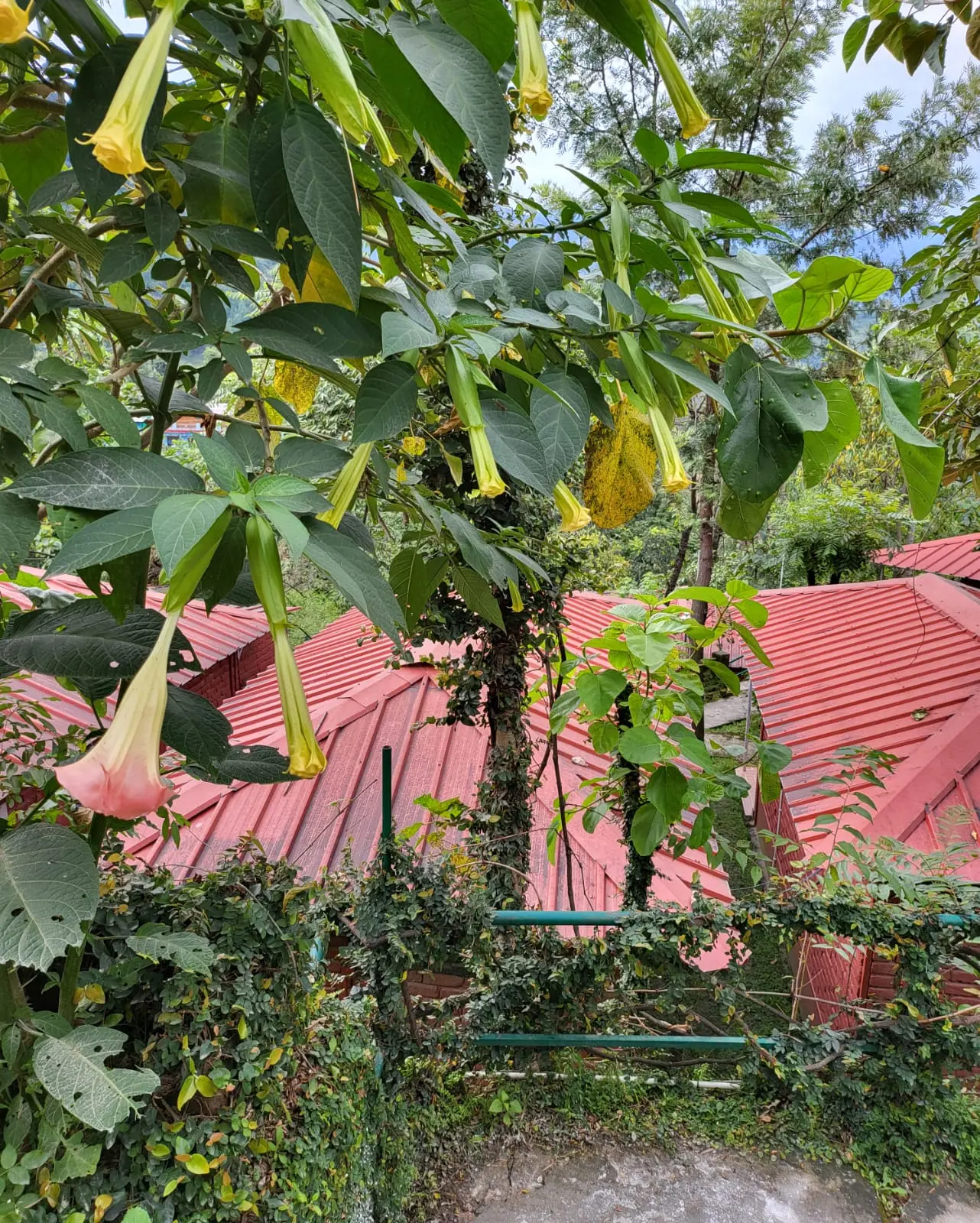 Reception area flowers